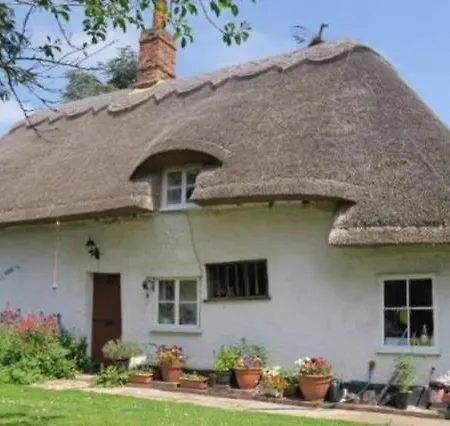 Entire Thatched Cottage Melbourn Exterior photo