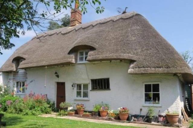 Entire Thatched Holiday home *