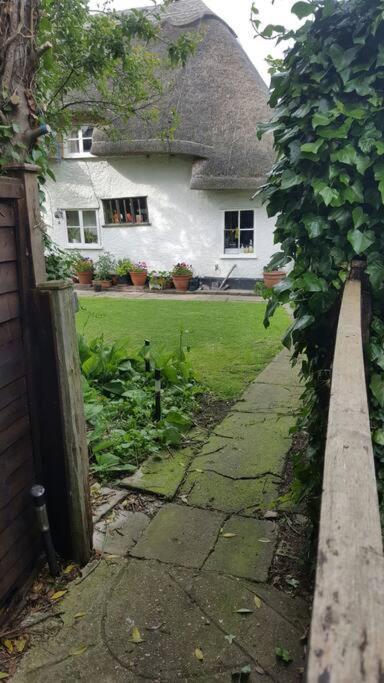 Entire Thatched